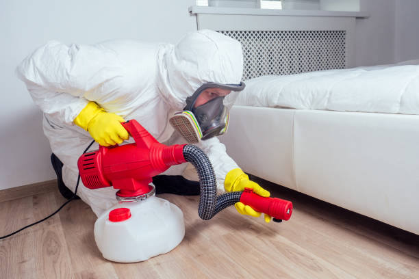 Professional Pest Control in Jamesburg, NJ